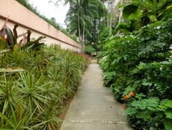 Four Seasons Park (D10), Condominium #496307841